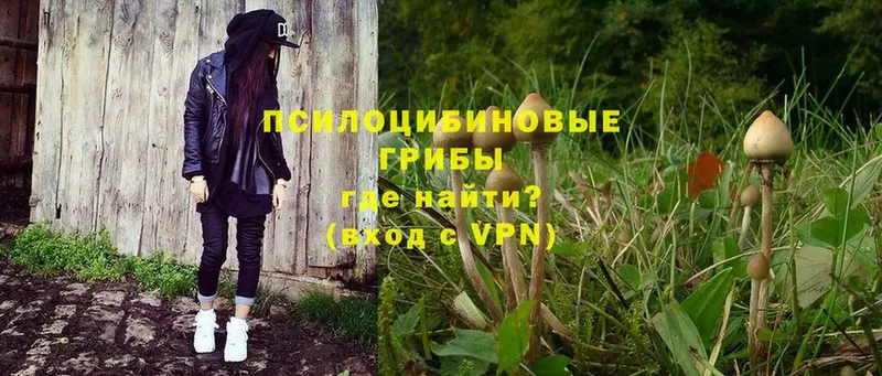 Псилоцибиновые грибы MAGIC MUSHROOMS  как найти закладки  darknet наркотические препараты  Благовещенск 